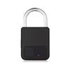 Portable Anti-theft Fingerprint Smart Padlock USB Charging Waterproof Keyless Mini Electronic Locker For Bike Gym Locker Luggage