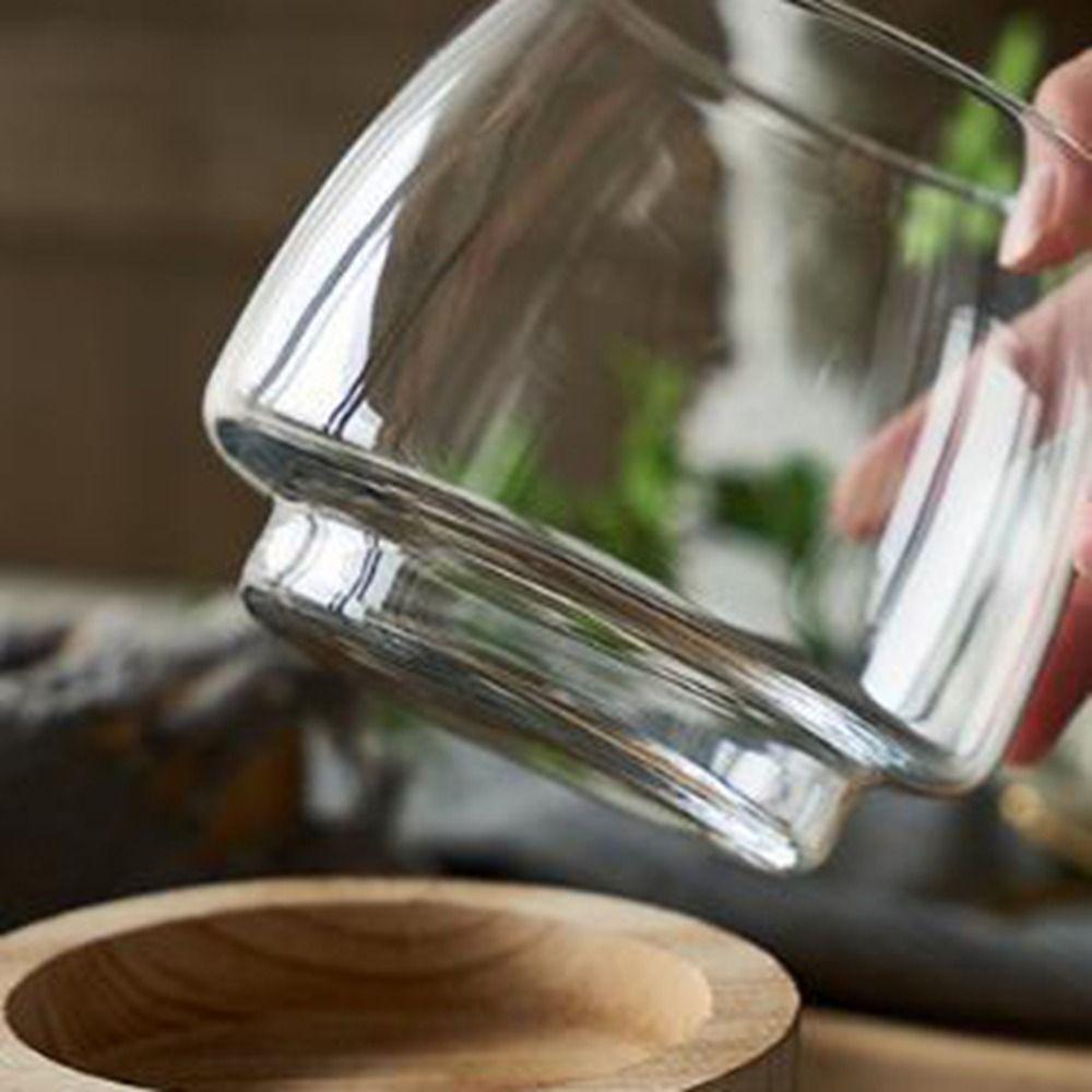 Round Transparent Glass Fish Tank Simple Glass Planter Hydroponic Vase  Living Room