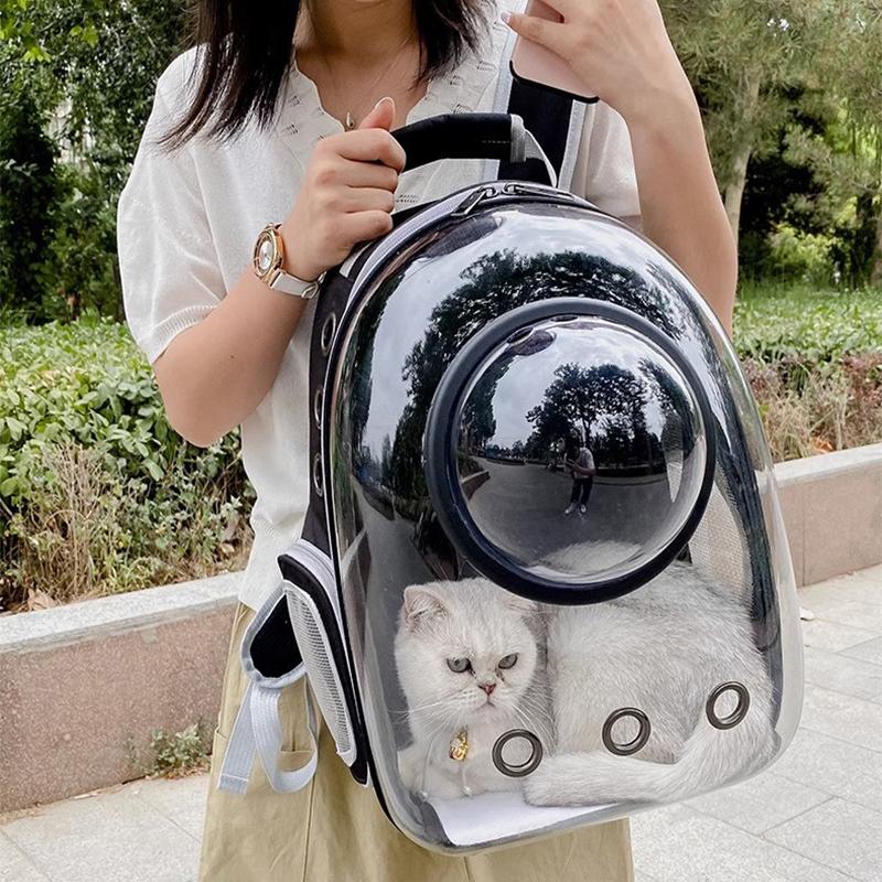 Geantă de umăr pentru ieșire pentru animale de companie, 1 bucată, pisică, câine, umăr, portabil, respirabil, pliabil, transparent, pentru animale de companie de mare capacitate