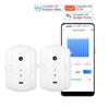 Graffiti Smart WiFi Curtain Motor with Voice Control and Free Track Installation