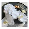 J's Select Phalaenopsis Orchid Flower Hair Accessories Set (10 Pcs) - Ideal for Japanese Traditional Attire, Weddings, Coming-of-Age Ceremonies,