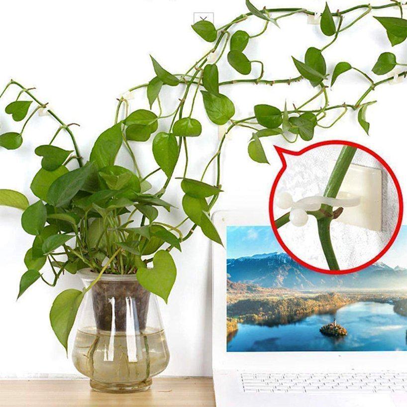 Vine Support Self-Adhesive Plant Climbing Wall Clip 100Pcs White Invisible Wall Plastic
