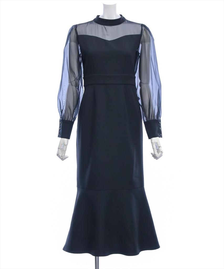 Long Long Sleeved Sheer Mermaid Flare Ribbon Office Sheer Mermaid Dress [Clear] Dress, Women's Dress, Casual, Elegant, 109A1-141283