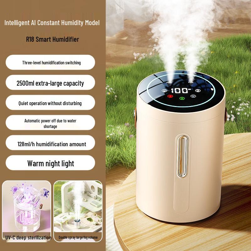 ZISIZ R18 Desktop Humidifier