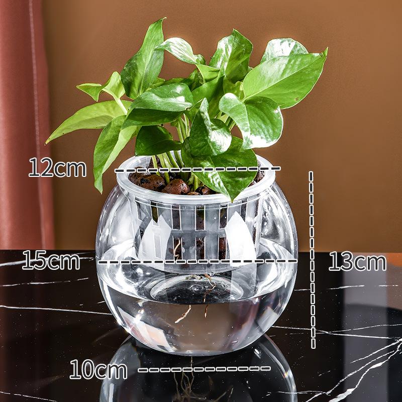 Small Hydroponic Vase for Phalaenopsis & Succulents - Desktop Decoration