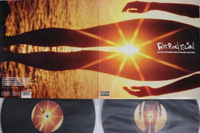 LP Record FATBOY SLIM  Halfway Between The Gutter And The  ASW50460 ASTRALWERKS 2000 US Dance  Electronica Used