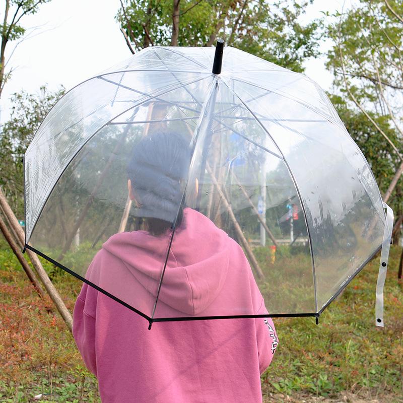 Creative Long-Handle Transparent Automatic Umbrella with White 8-Rib Curved Handle Straight Shaft Two-Person Gift Umbrella