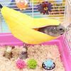 Hamster Hang House Hammock Banana Design Small Animal Cotton Cage Sleeping Nest for Small Pet Bed Small Hamster Toy Cage Swing