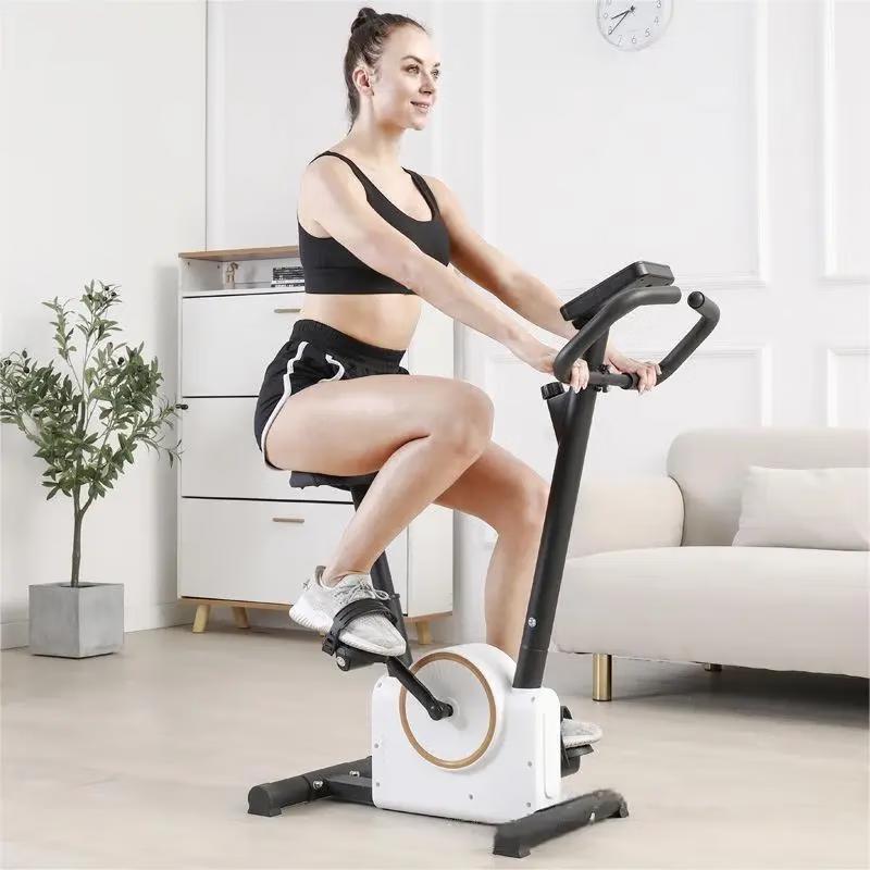 WEZHO Magnetic Spin Bike