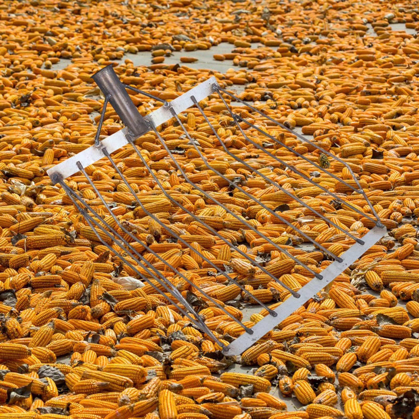 

Фильтрующая сетка Лопаты для почвы Полая кукуруза Удобная ручка Практичная нержавеющая сталь Универсальность Style D