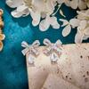 Exquisite Craftsmanship Water Drop Earrings Trapezoid White Zirconia Sweet Butterfly Bow Korean Style Bride Wedding Accessory