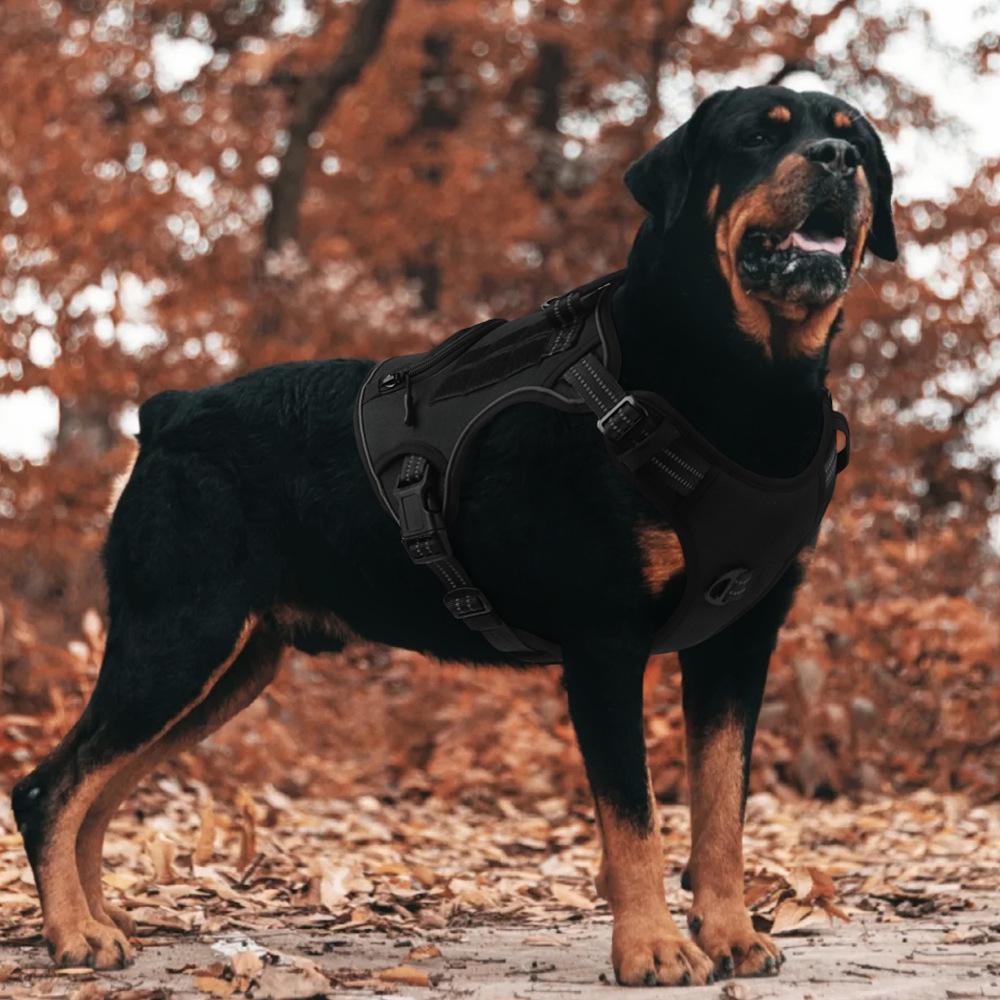 Cross-Border Tactical Dog Harness Vest with Leash