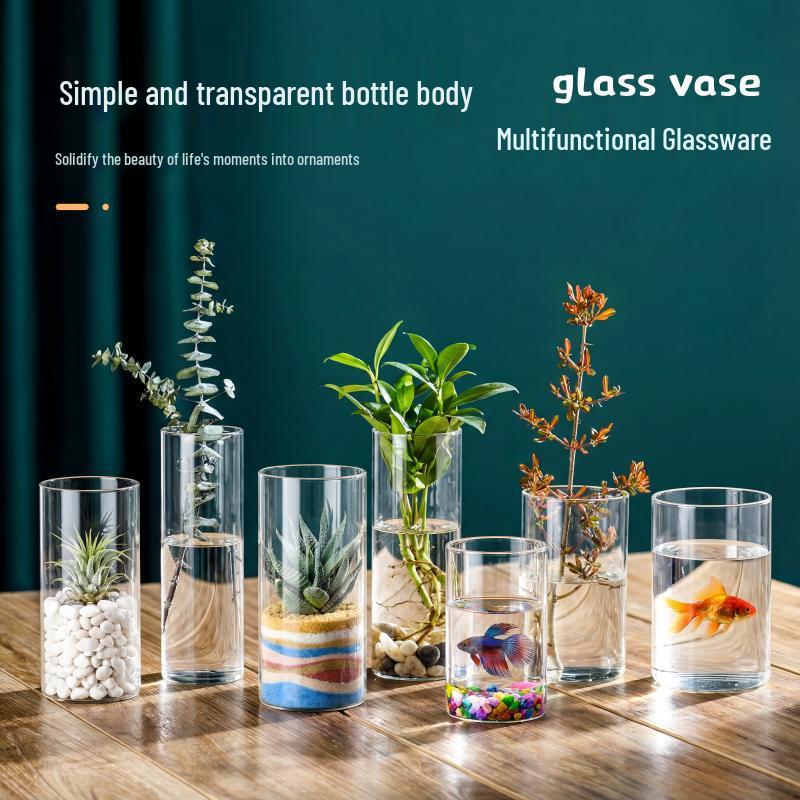 Straight Cylinder Glass Vase for Pothos and Hydroponic Decor