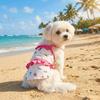 Roupa e sapatos – Vestidos para cães