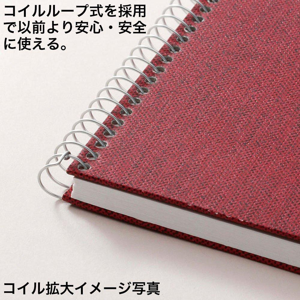 Maruman Sketchbook Artist Medallion F6 S56A-01