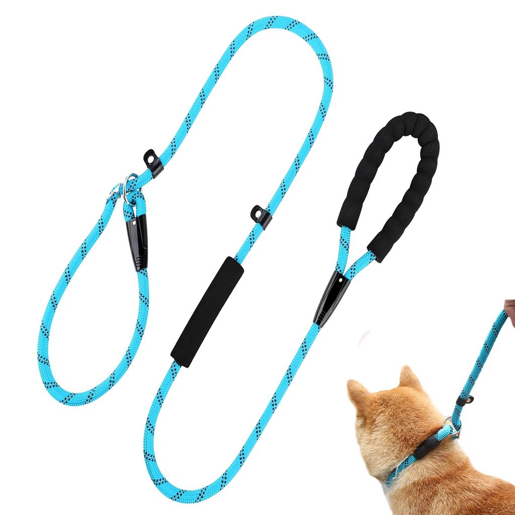 sturdy dog leash