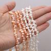 1String, Off-centre Hole Pearls, 5–6 Mm, Boho Natural Freshwater Pearl Beads, for DIY Necklaces, Bracelets, Anklets, Jewelry Making, 36cm