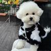 Manteau d'hiver chaud pour chien Manteau d'hiver en polaire Vêtements pour petit chien Nouveaux vêtements chauds pour animaux de compagnie pour petits et moyens chiens