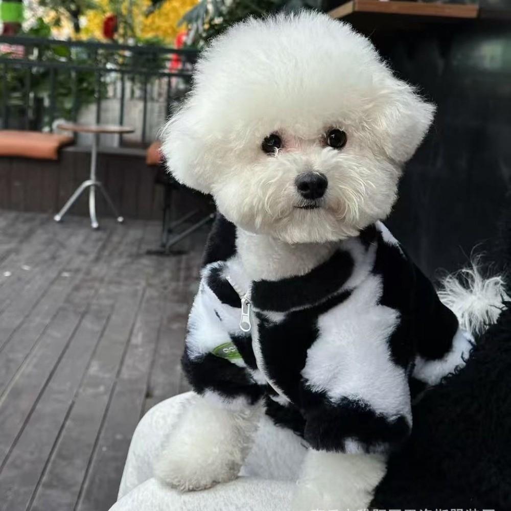 Manteau d'hiver chaud pour chien Manteau d'hiver en polaire Vêtements pour petit chien Nouveaux vêtements chauds pour animaux de compagnie pour petits et moyens chiens