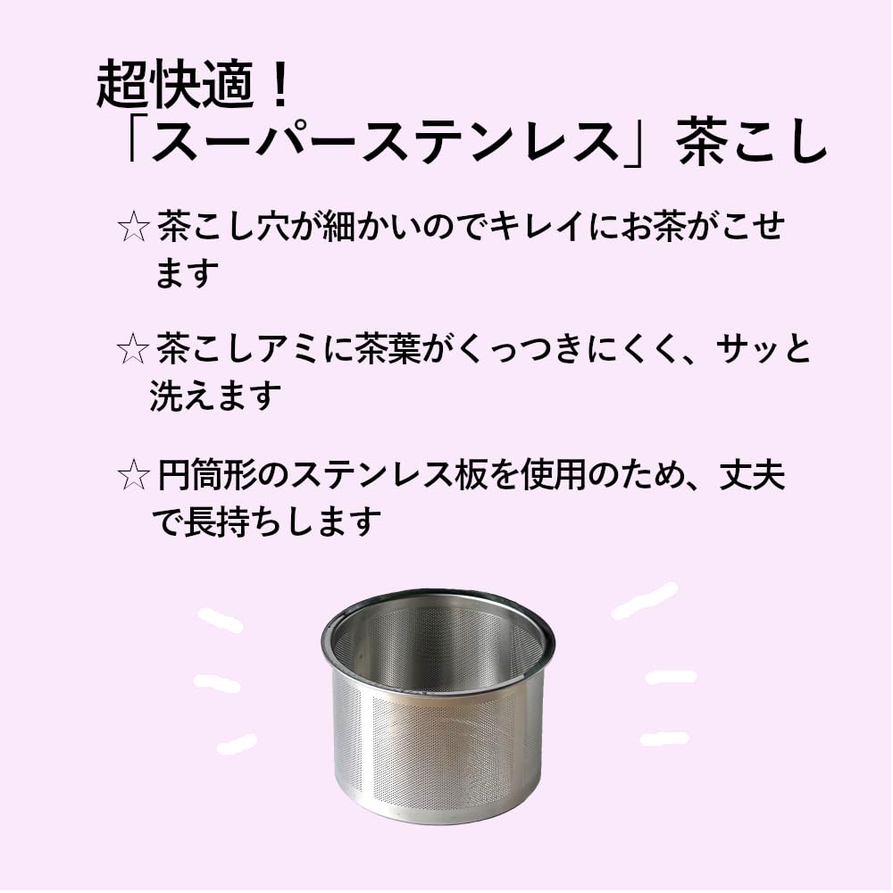 Tokoname Keramik-Teekanne mit Super-Edelstahl-Sieb 350ml - Hergestellt in Japan