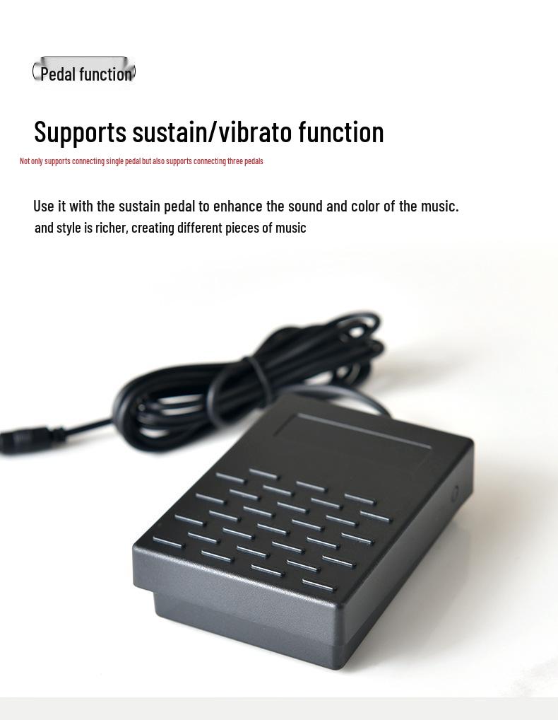 Rechargeable 88-Key Foldable Digital Piano: Bluetooth & MIDI, Perfect for Beginners & Kids