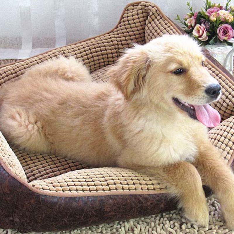 Hot Sale Large Dog House Bed Waterproof Comfortable Pet House Big Dog Beds Kennel Puppy Indoor Pet Products ZL79