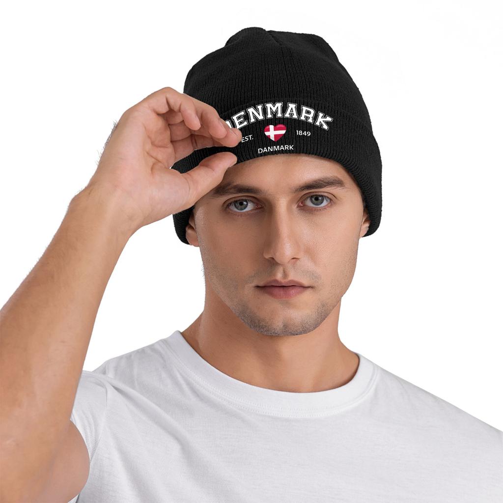 Denmark Est 1849 Knitted Hat Beanie Hats Outdoor Thermal Elastic Unisex Adult Bonnet Hats Autumn Winter Printed Hip Hop Caps