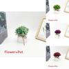 Plastic Veronicastrum Caulopterum Mini Pot With Roped Butterfly Design For Indoor Outdoor And Special Occasion Use