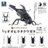 Genuine Gacha Scale Model Simulation Insect Model Collection Piece of A Giant Flat-bottomed Beetle Insect Model