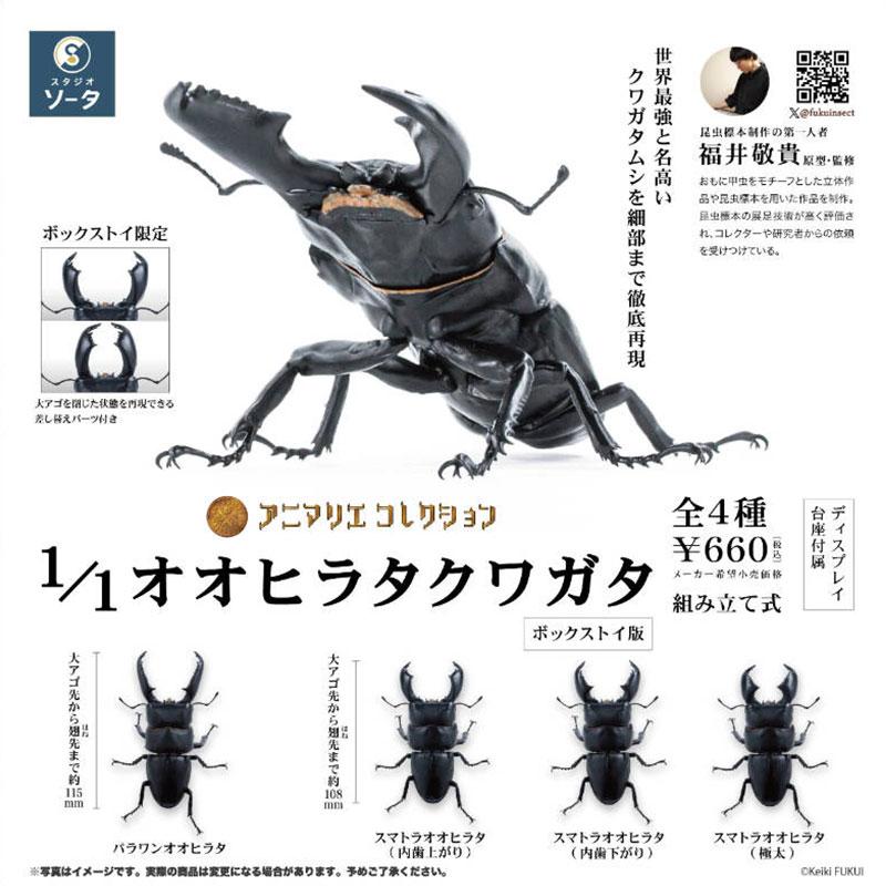 Genuine Gacha Scale Model Simulation Insect Model Collection Piece of A Giant Flat-bottomed Beetle Insect Model