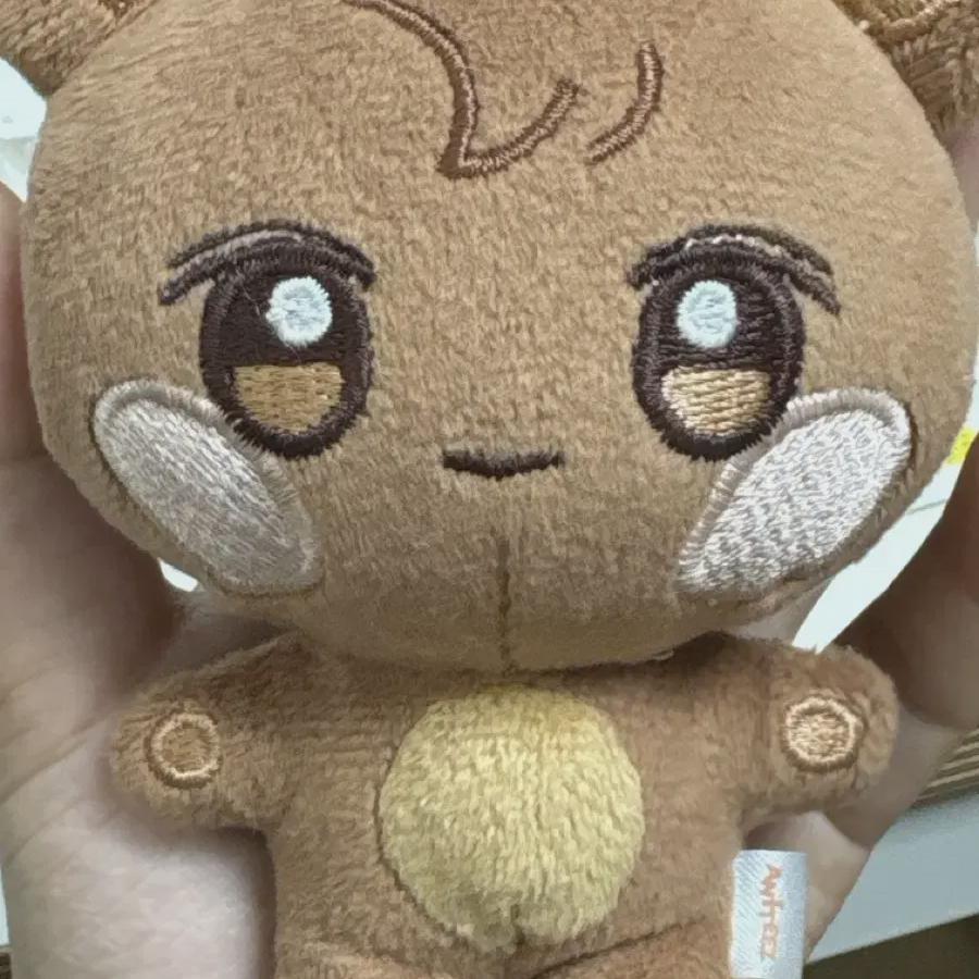 Ateez Anyy s Zonbear