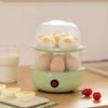 Multifunctional Mini Egg Steamer with Auto Power-Off