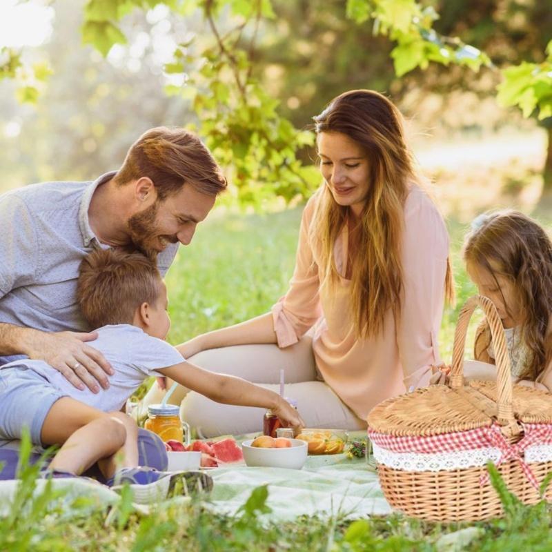 Country Style Wicker Picnic Basket Camping Basket With Lid Handle And Liners For Picnics Party Barbecue