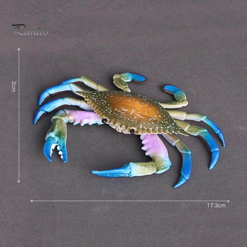Puntos Kids Toy Simulation Hermit Crab Marine Animal PVC Model Desktop Decor Education