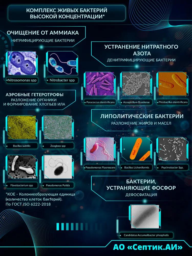 Bacteria for septic tanks and cesspools septic.ai, 100ml