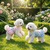 Korean Sweet Dog Princess Dress Lace Strap Dog Puff Skirt Pet Lace Dress  Outdoors Activities