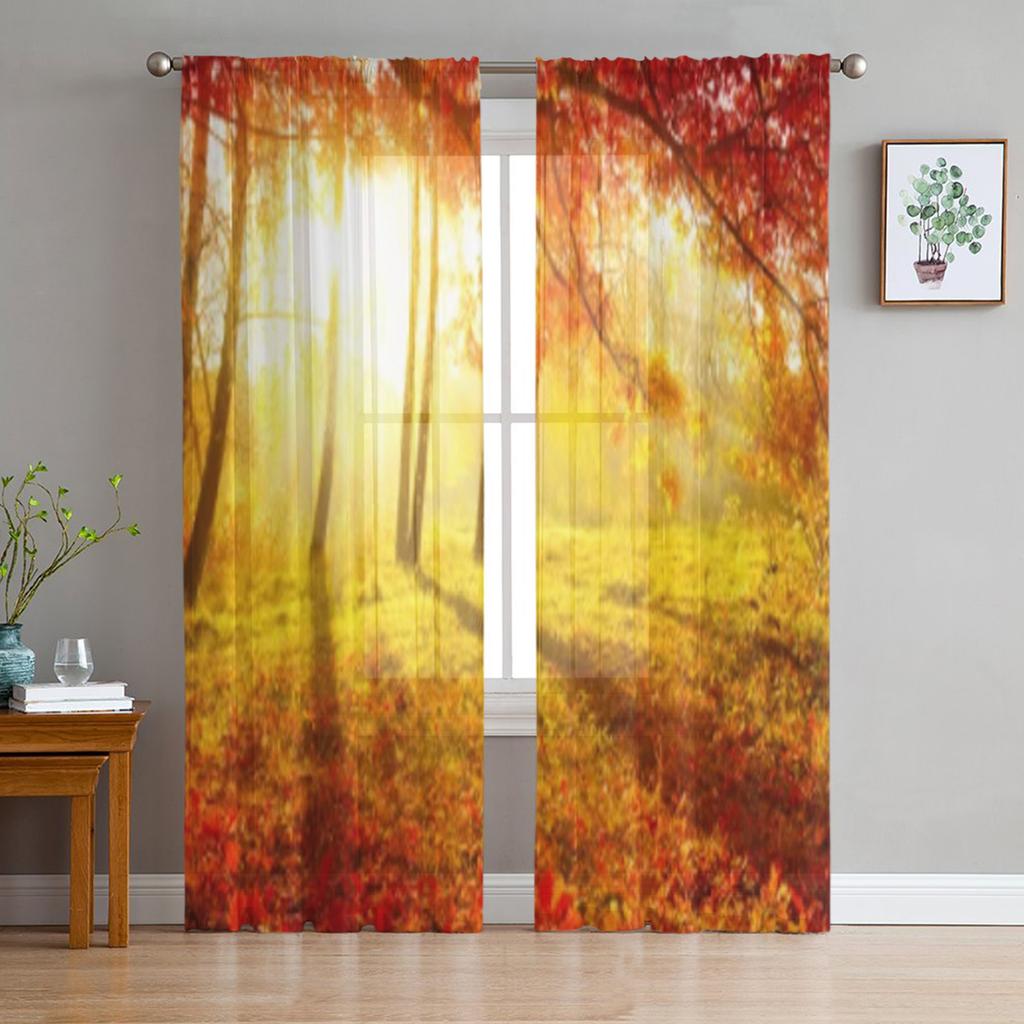 Winter Forest Tatra Mountains Poland Sheer Curtains for Living Room Transparent Tulle Window Curtain Bedroom Kitchen Veil Drapes