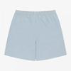 The North Face Ice Max Shorts Light Gray Ns6ns05l