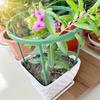 Garden Plants Support Stakes Garden Plant Stand Holder Potted Plants Bonsai Vine Flower Support Plant Support Stakes Tools