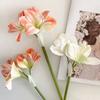 22" Konstgjord Amaryllisbukett med Äkta Beröring Lång Stjälk Falsk Silkesblomma med 2 Fulla Blommor och 1 Knopp för Hemmakontor Vas Blomsterarrangemang