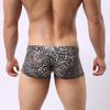 Mesh Briefs Sheer See-Through T-back Thong Underpants