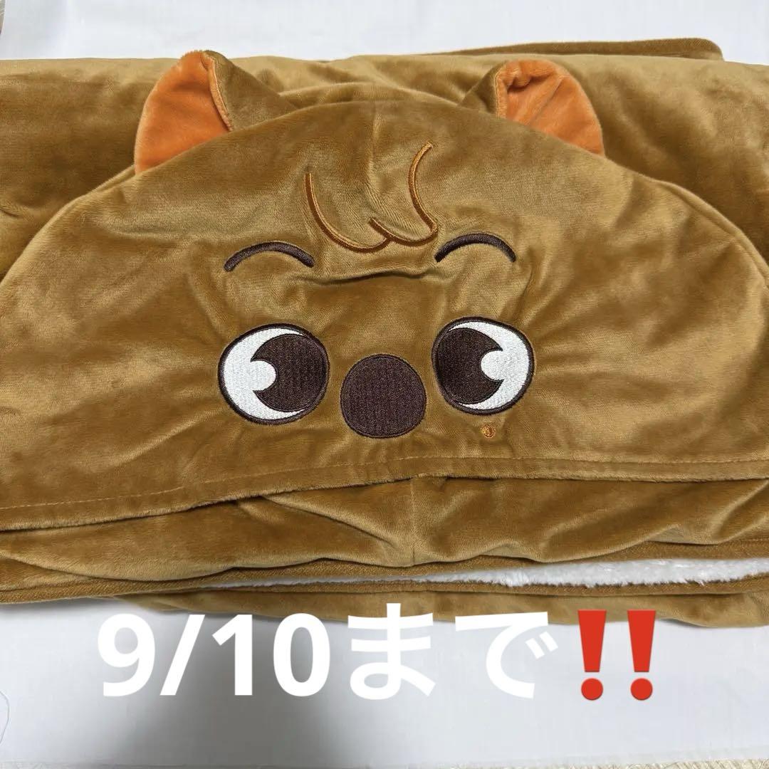 

[USED] Han Jisung Blanket Han Quokka