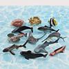Simulated Deep Sea Ray Crab Squid Killer Whale Shark Model Desktop Ornament Set For Childrens Educational Playroom Decor