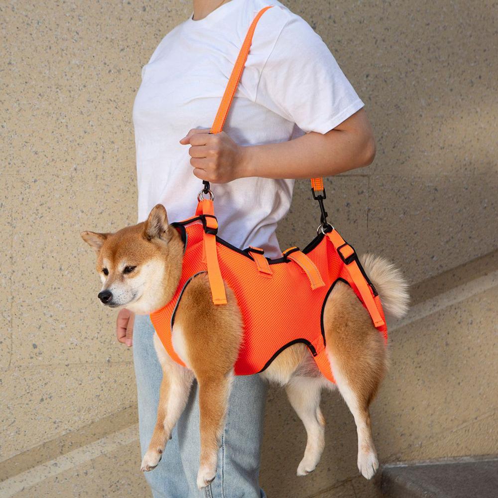 Useful Disabled Elderly Dog Exercise Assist Belt Walking Pet Rehabilitation Suit for Dogs Mascotas Auxiliary Clothing Clothes
