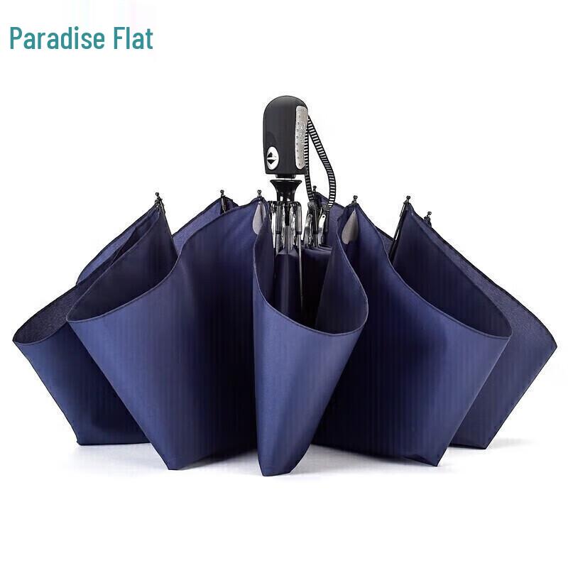 Tiantang Automatic Windproof Folding Umbrella