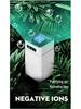 Indoor Desktop Air Purifier with Negative Ion and Formaldehyde Removal