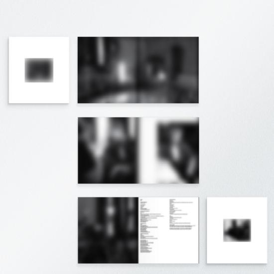 BTS ARIRANG Deluxe Vinyl Photocard Only (Member Select)