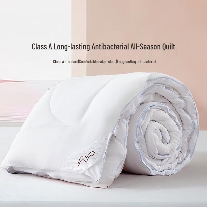 Mercury Home Textiles Class A Seven-Hole Fiber All-Season Quilt