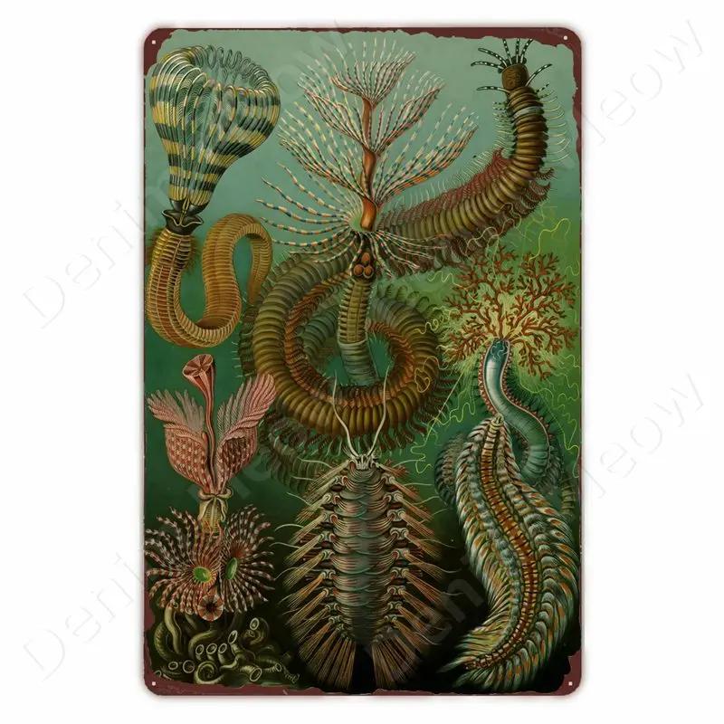 Starověcí Znamení Vintage Kovové Znamení Fosilní Nástěnné Umění Plakát Savci Ryby Znamení pro Domov Třída Dekor Hmyz Plechové Znamení
