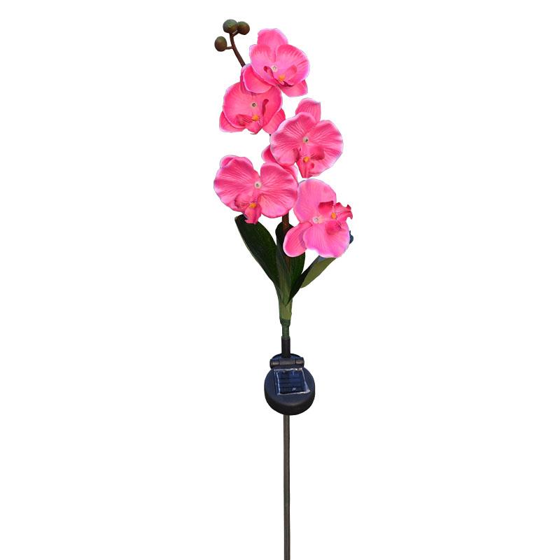 Outdoor Solar Lights, Waterproof Butterfly Orchid Garden Light, Decorative Flower 5 LED Lamp, Landscape Lighting for Lawn Patio Pathway Driveway Pink#0